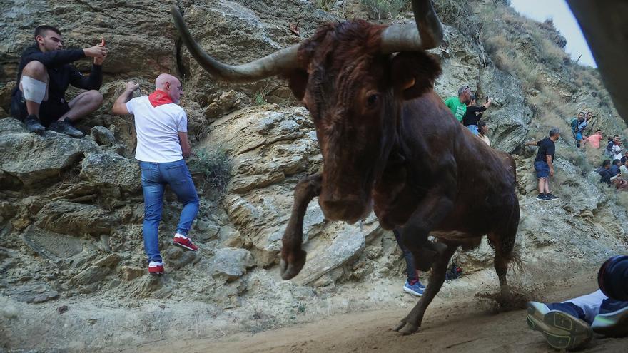 Fotos del octavo encierro del Pilón de fiestas de Falces 2026