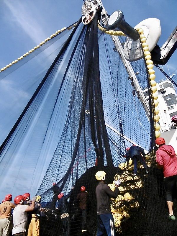 Virando la red en un lance de pesca en el Índico.