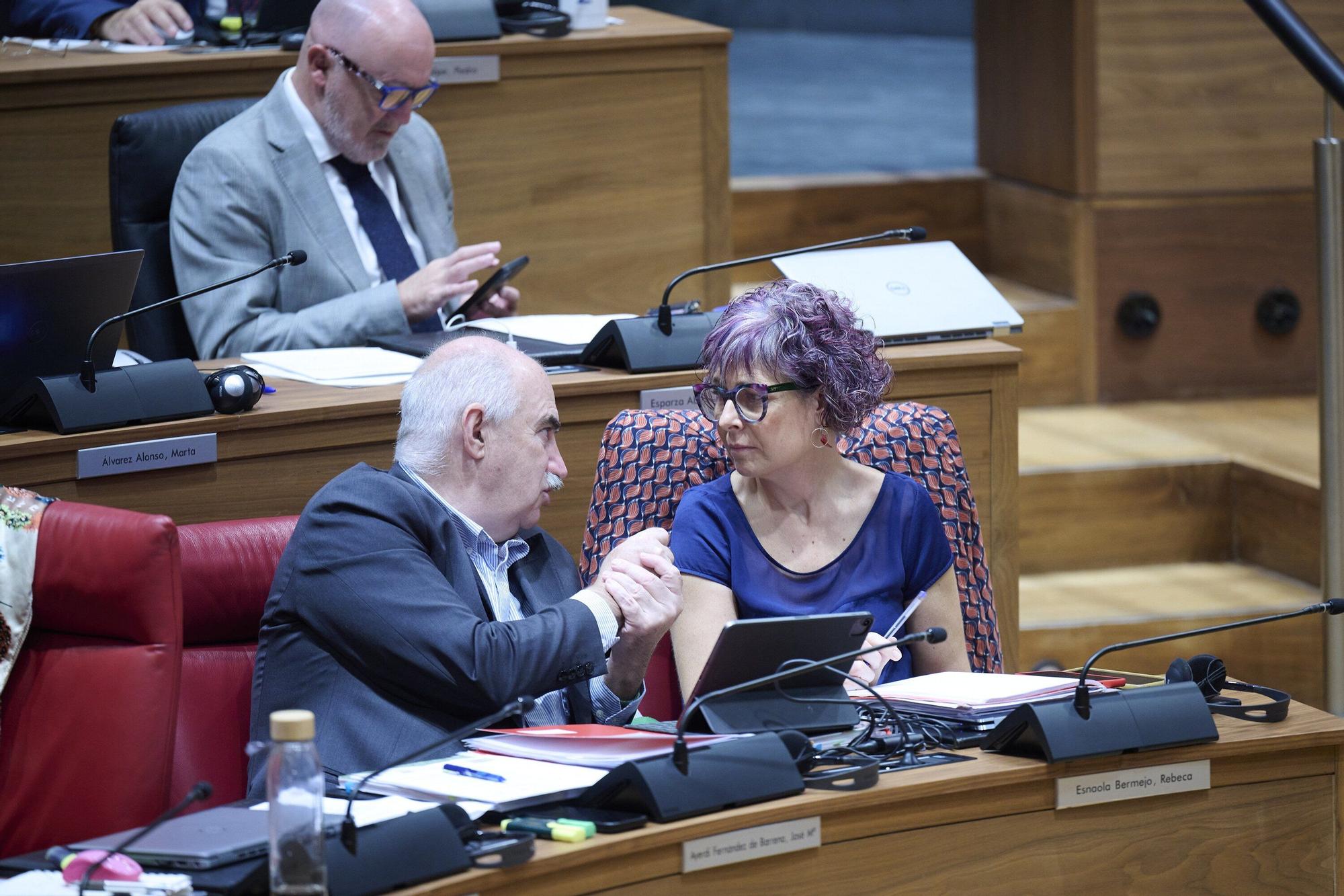 Fotos del pleno del Parlamento de Navarra (jueves 25 de septiembre de 2025)