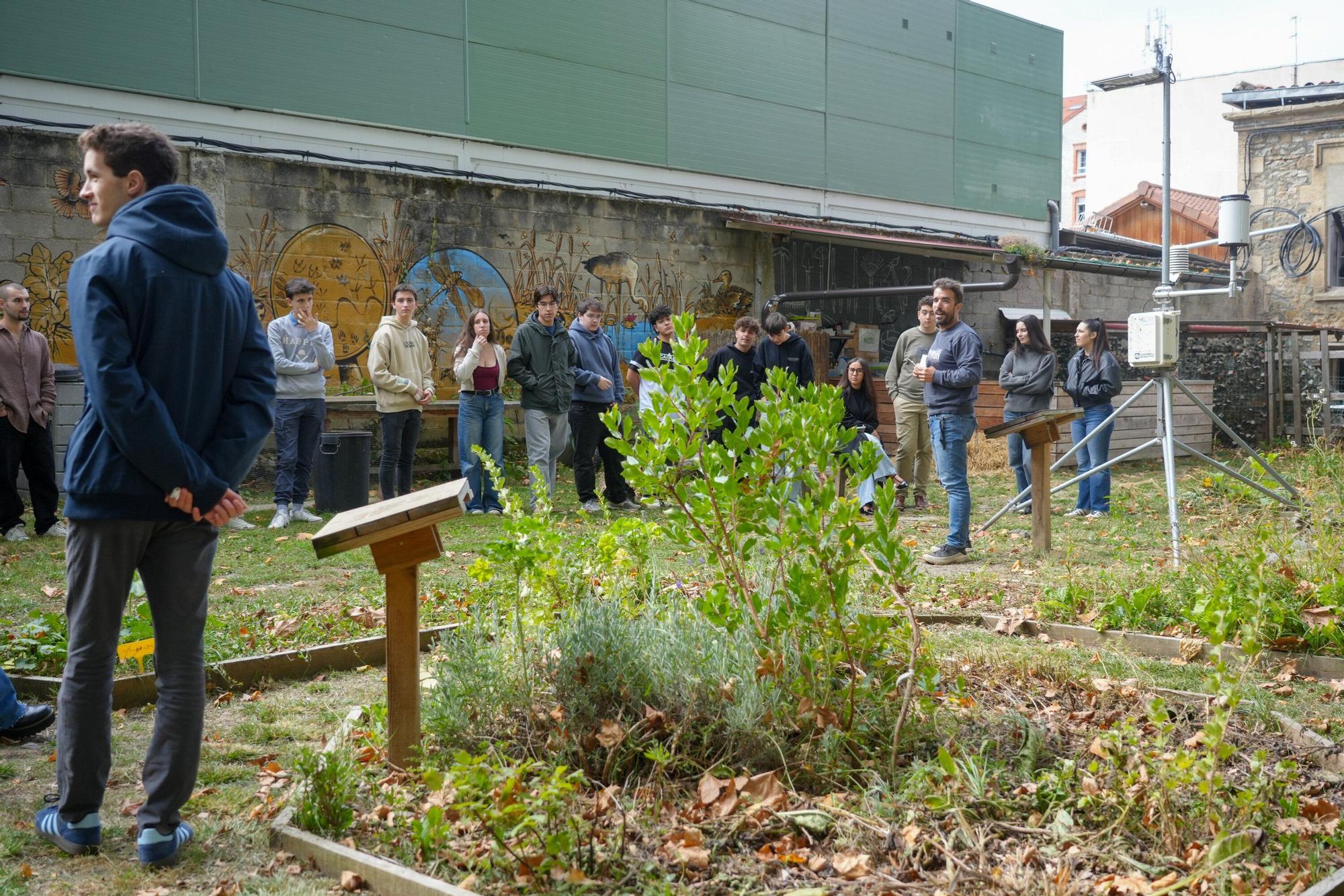 En imágenes: La UPV/EHU impulsa un curso de agricultura ecológica en el Campus de Álava