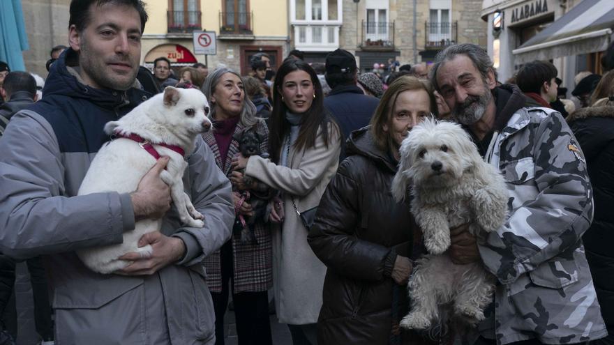 La lluvia desluce la celebración de San Antón en Gasteiz