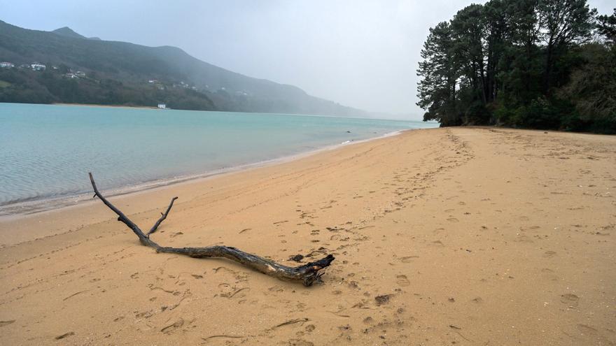 San Antonio de Sukarrieta es la quinta playa que  se limpia a mano