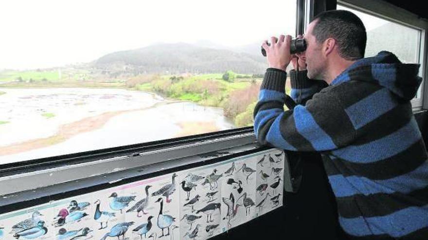 De Urdaibai a la red ornitológica europea