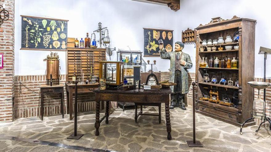 Descubre todo sobre el vino en este museo inclusivo alavés