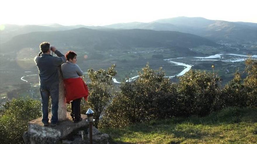 Doce meses, una causa