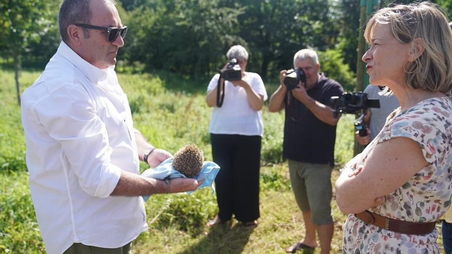 Casi 600 animales han sido atendidos en el centro de recuperación de fauna silvestre de Gipuzkoa