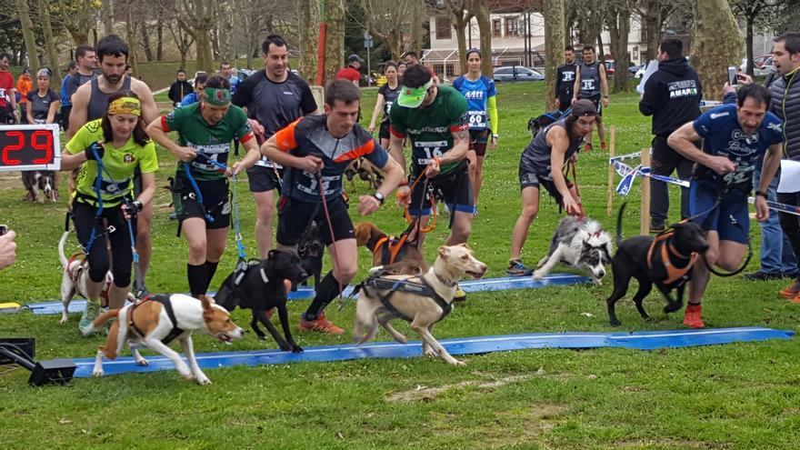 Muskiz pone a prueba la velocidad de los perros en su VII Txakurtrail