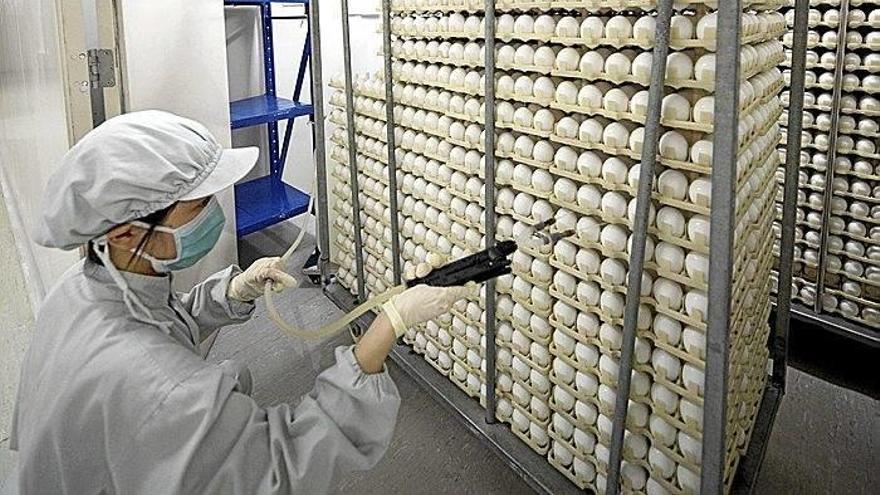 Cuestión de huevos