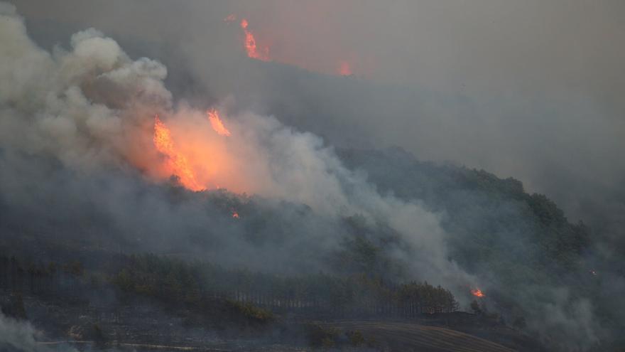 Testigos del incendio en Ezcabarte: "El fuego ha saltado la carretera y al coger el pinar, era incontrolable"