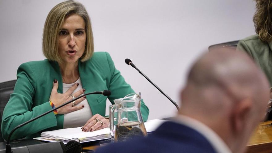 Fotos de la directora de Excavaciones Osés en la comisión de investigación del Parlamento de Navarra