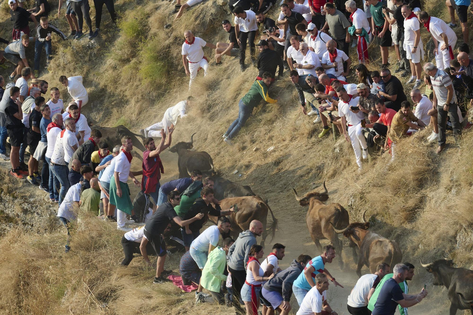 Fotos del último encierro del Pilón de Falces 2025