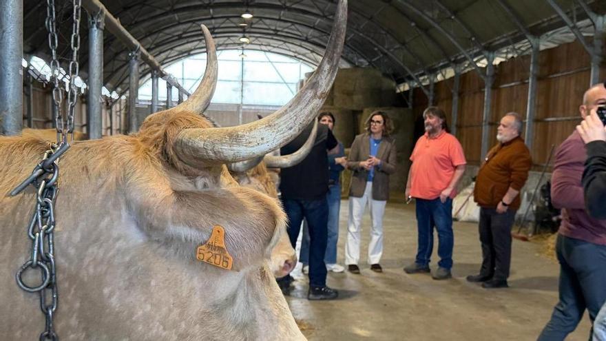 El PNV refuerza la apuesta por el relevo generacional en el sector agrario de Durangaldea