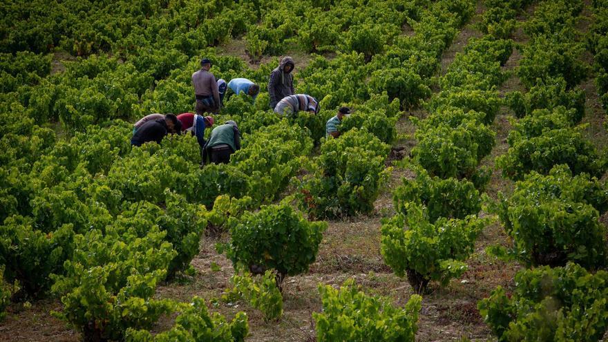 Qué aportarán los 10.000 emigrantes que se regularizarán en Navarra: más empleo y más ingresos