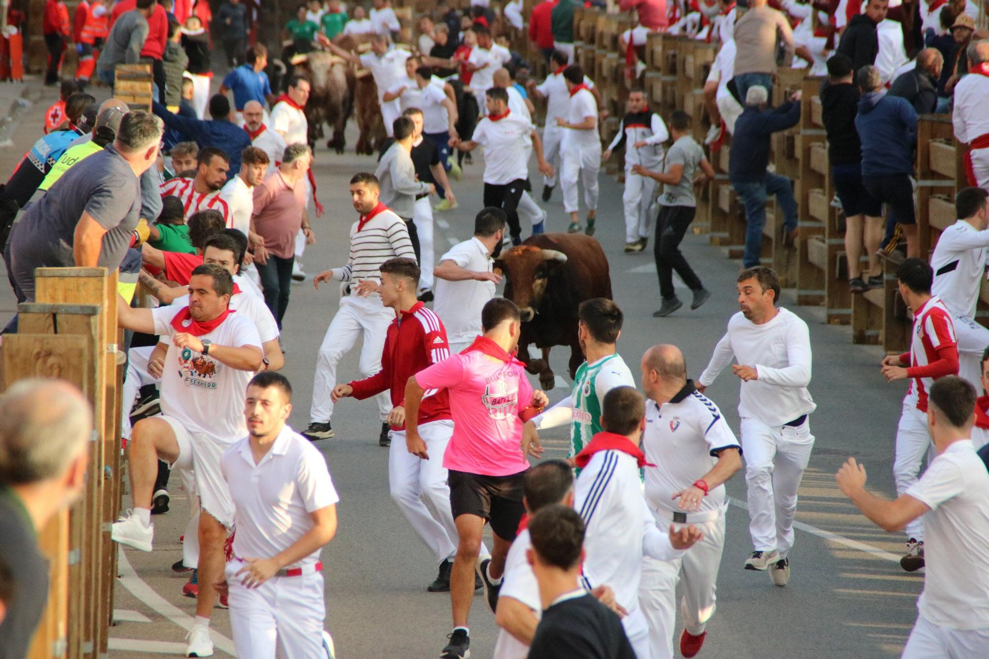 Fotos del primer encierro de las fiestas de Tudela 2025