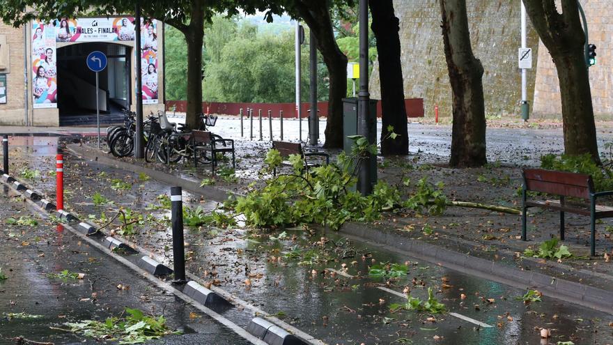 La fuerte tormenta sobre Pamplona tira árboles, descarga 7 litros y desploma el calor