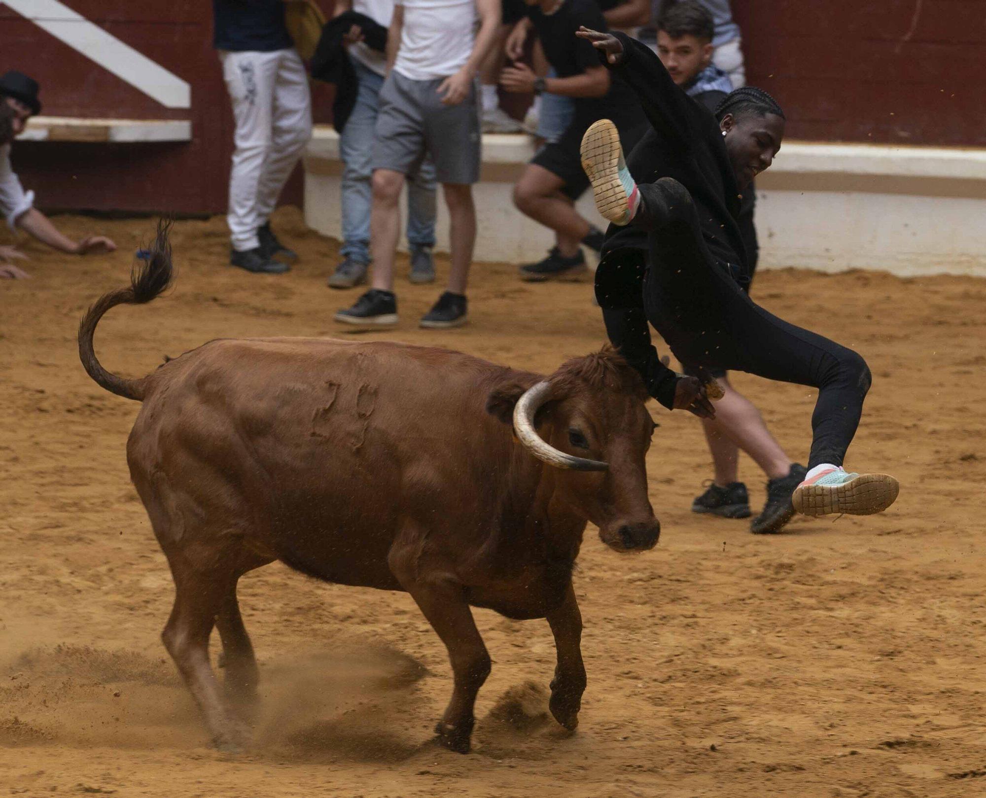 Eb imágenes: Las vaquillas reinan en el Iradier Arena