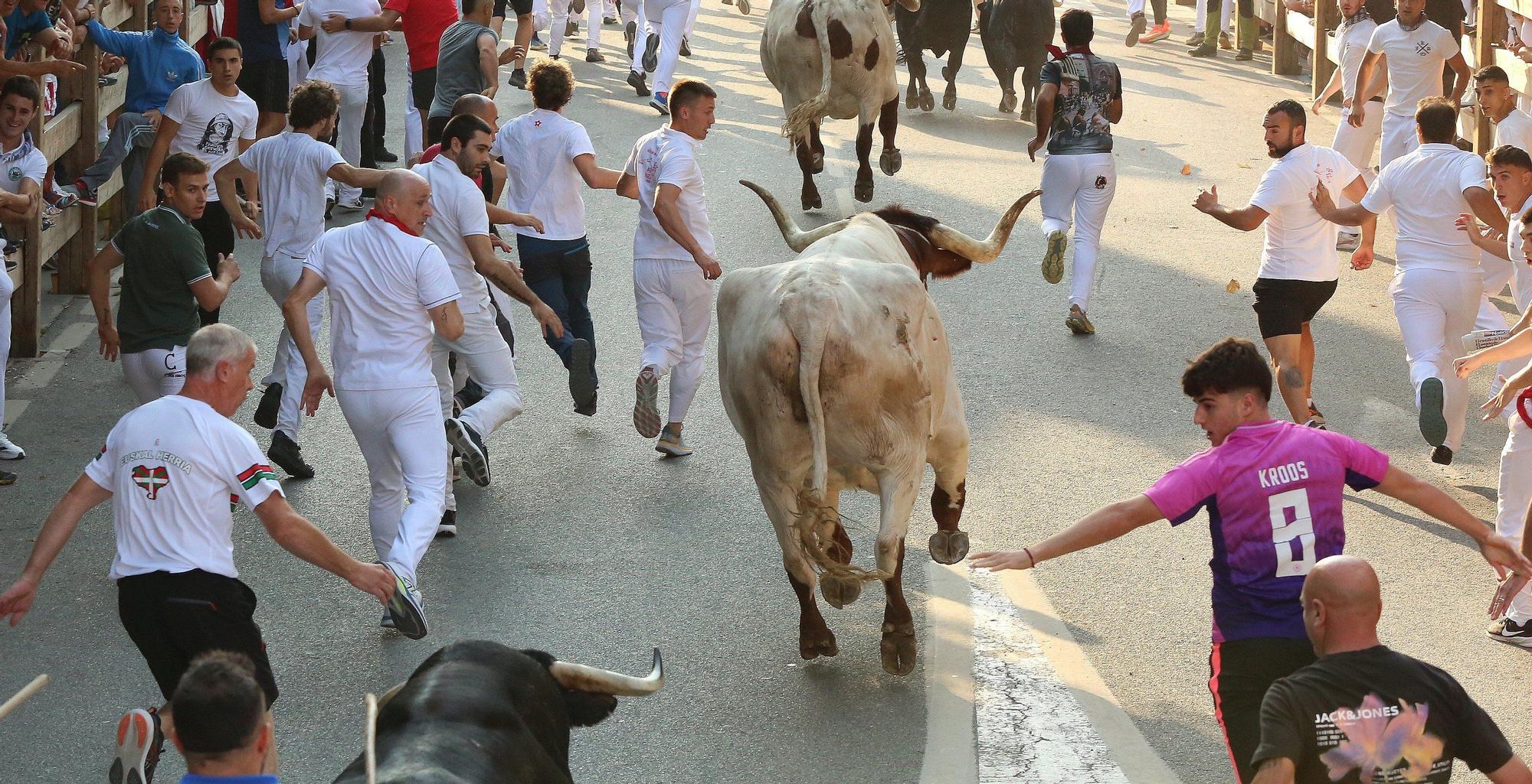 Fotos del primer encierro de fiestas de Tafalla