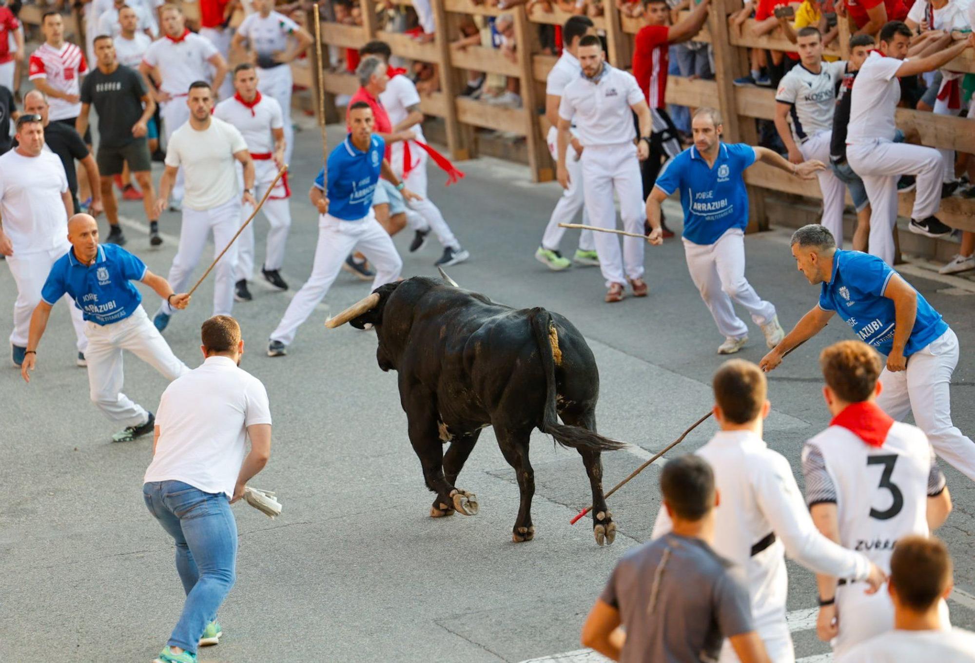 Fotos del primer encierro de fiestas de Tafalla