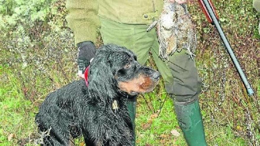 Anécdotas detrás de la becada