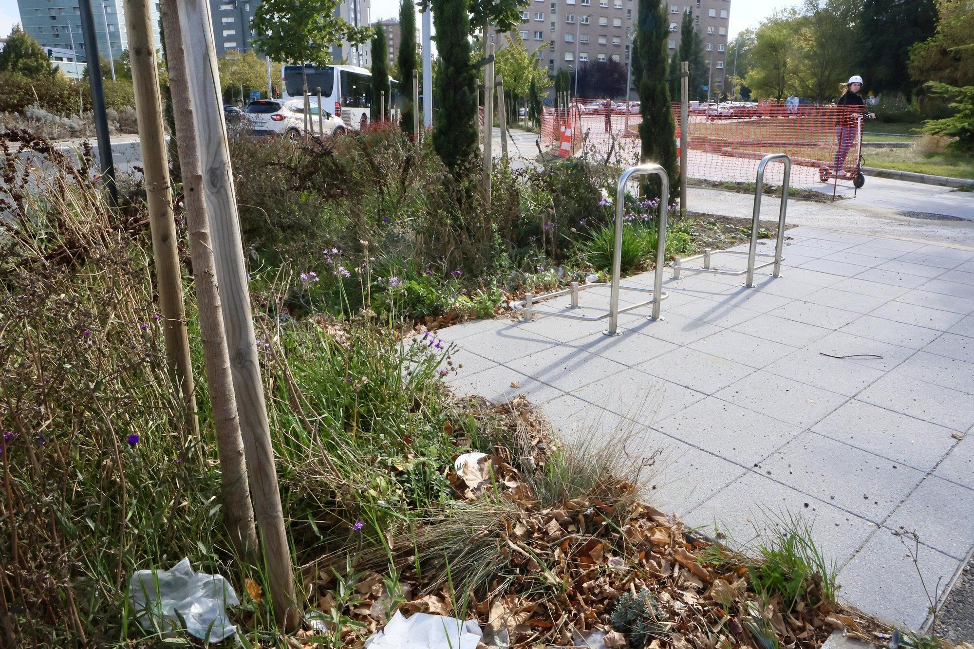 En imágenes: Vitoria-Gasteiz se prepara para adecentar el verde de la ciudad