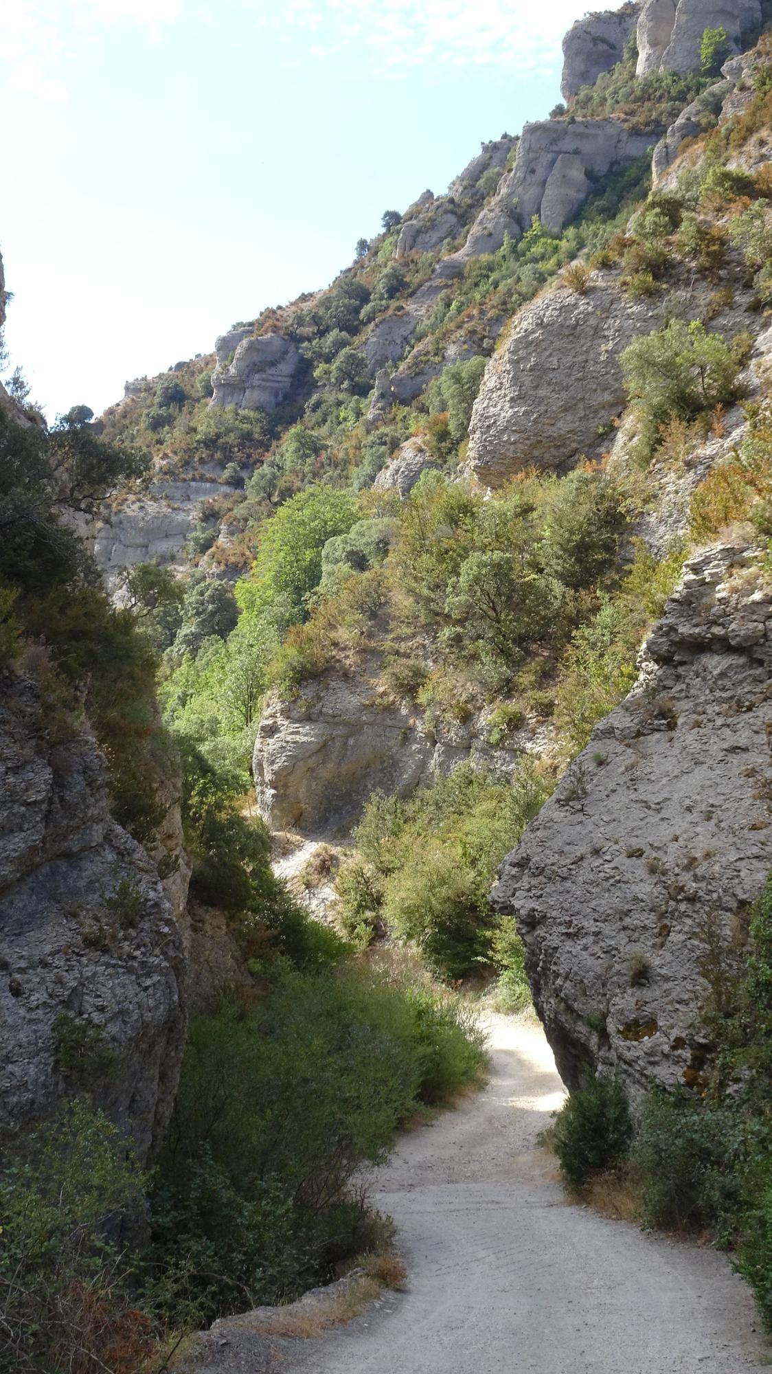 Cañón del Iranzu