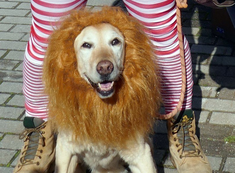 La magia del carnaval transforma Lekunberri
