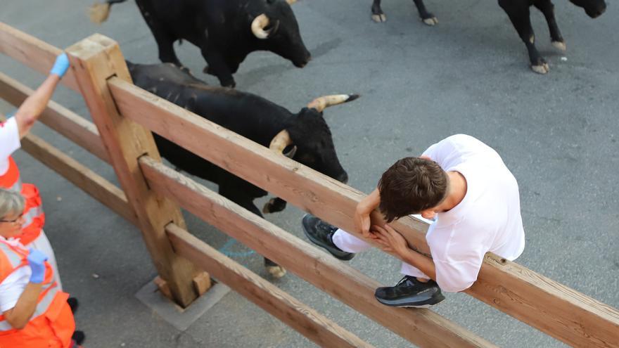 Los toros de Palha firman un emocionante segundo encierro en fiestas de Tafalla 2025