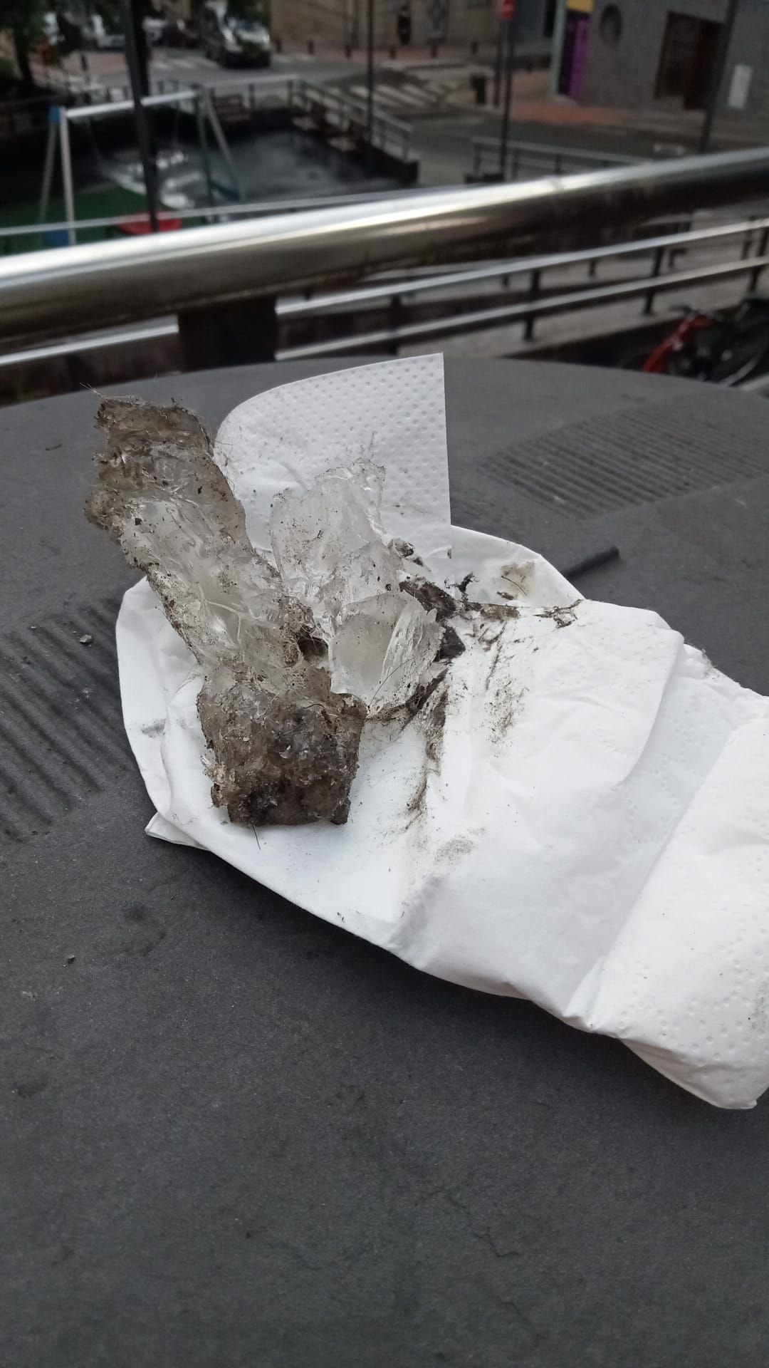 Algunos de los restos de cristales que han lanzado al local.