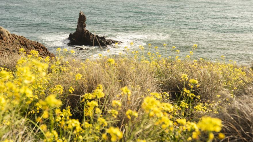 La primavera de 2026 será más cálida de lo normal