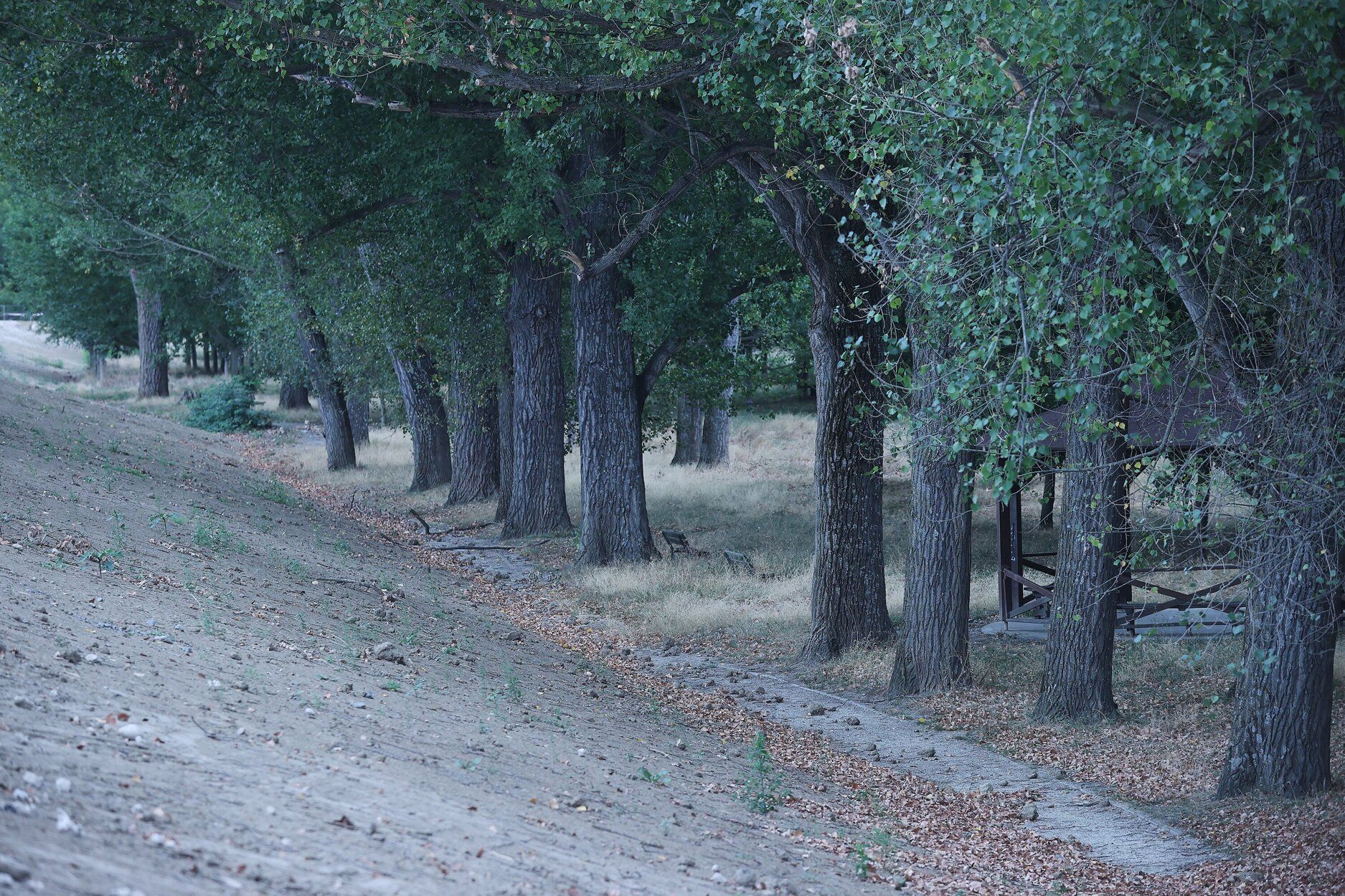 Fotos de la visita a las obras del parque de la Nopalera de Burlada