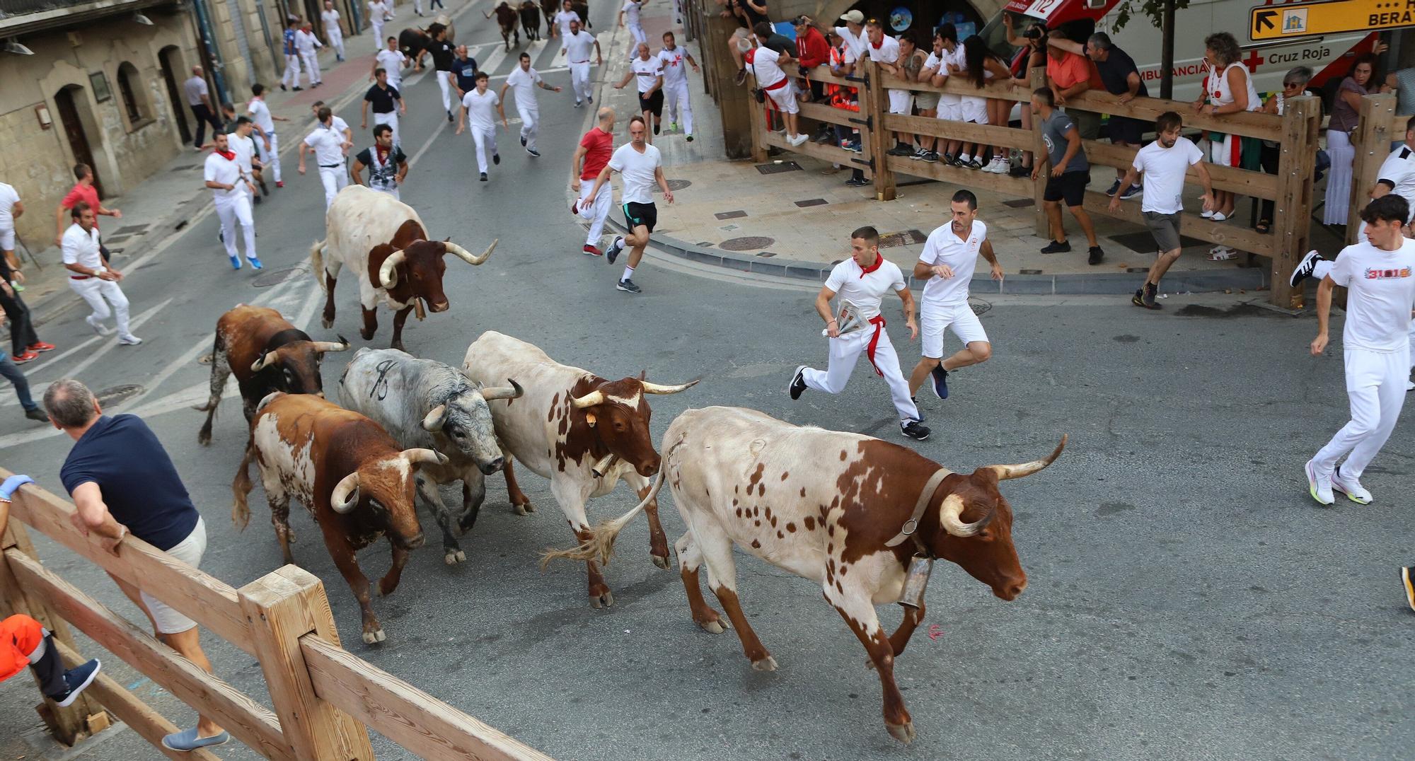 Fotos del tercer encierro de fiestas de Tafalla 2025