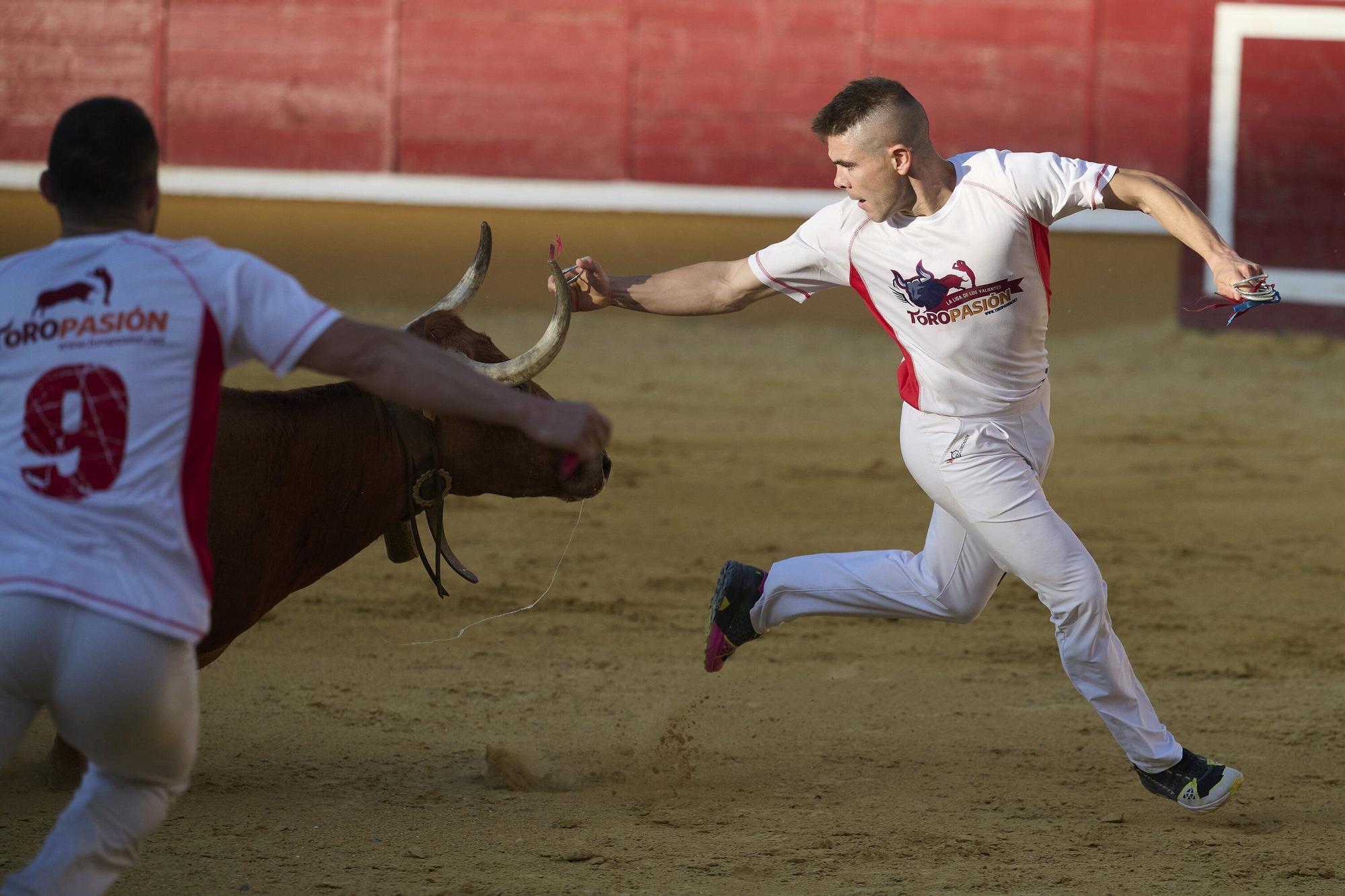 Concurso de recortadores con anillas