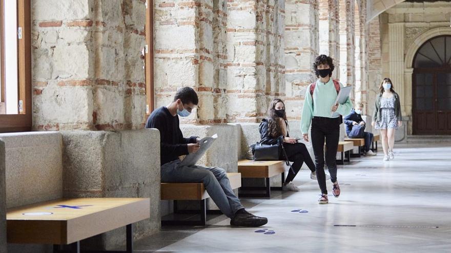 La figura del tonto útil