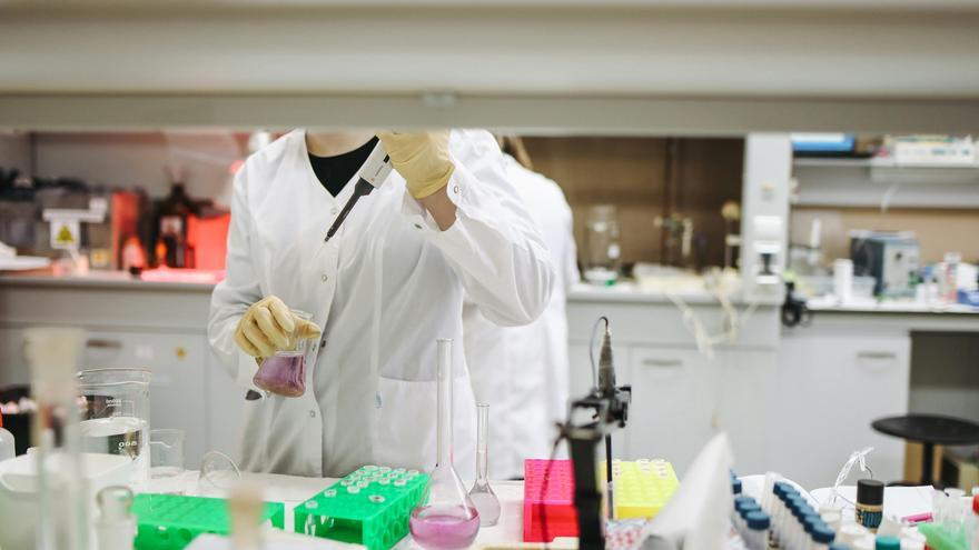 43 estudiantes de doctorado en Navarra completarán su formación en centros internacionales de referencia