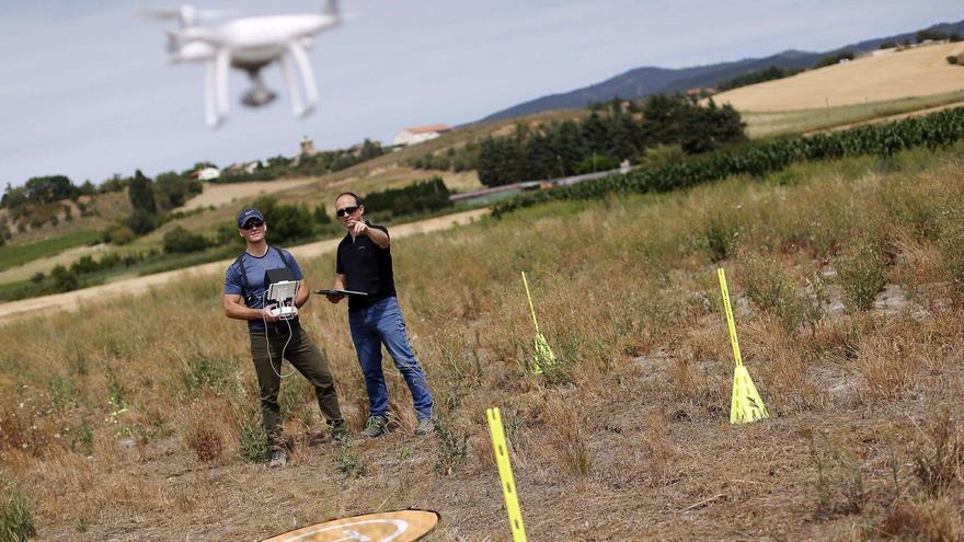 La IA, motor clave para la reducción de costes y riesgos laborales en el campo vasco