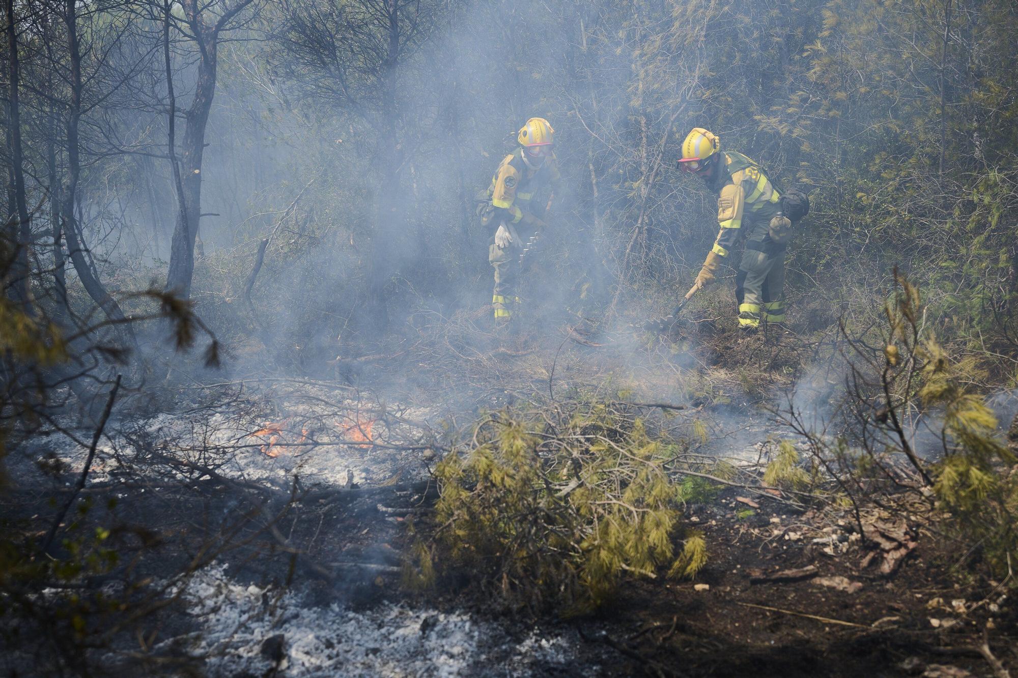 Fotos del incendio forestal cerca de Carcastillo