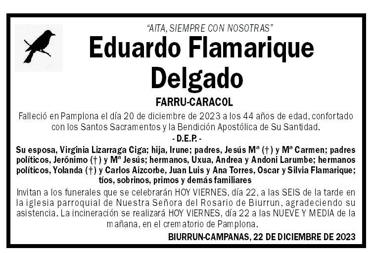 Eduardo Flamarique Delgado