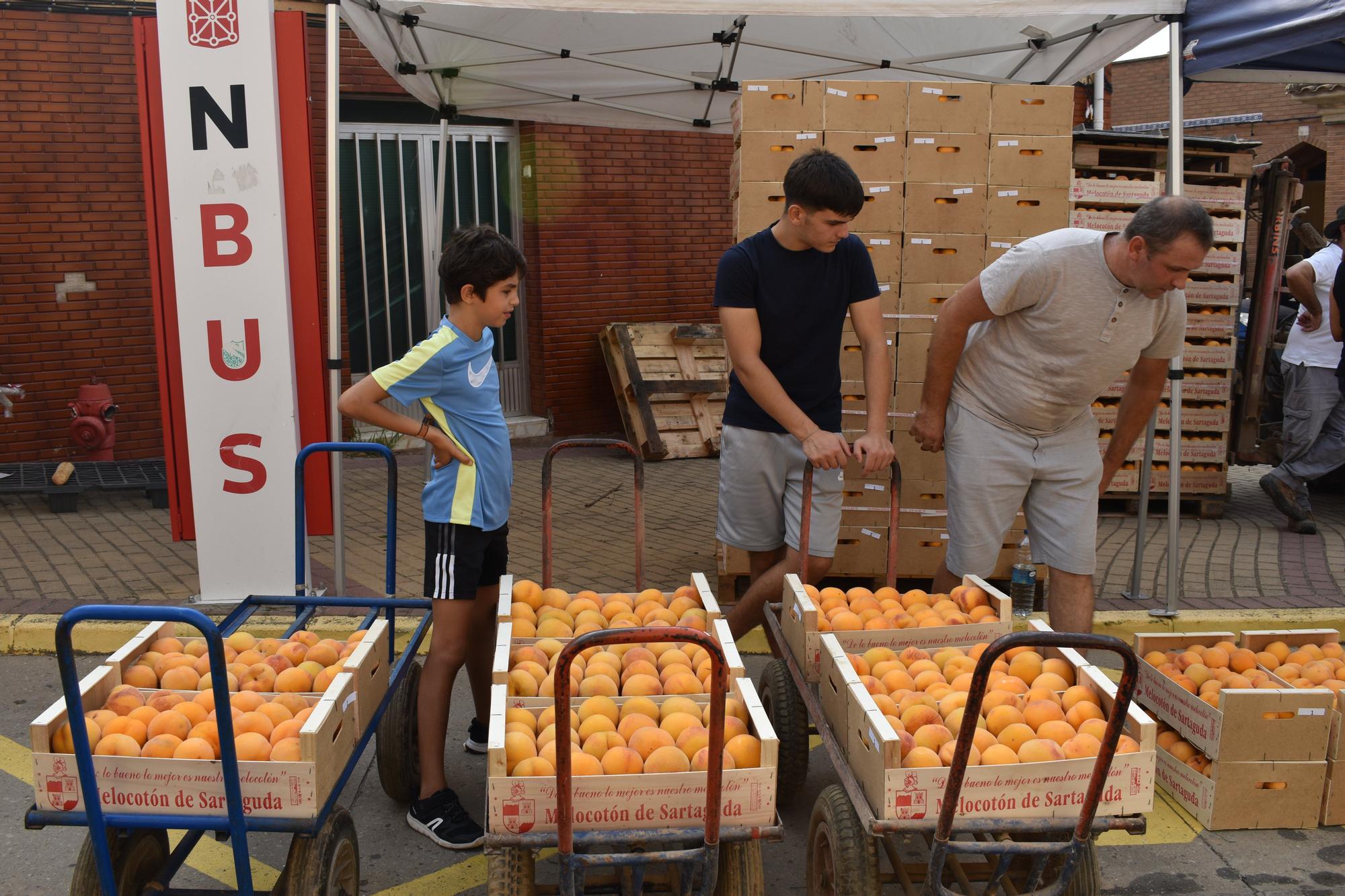 Fotos | Más fruta y más puntos de venta en la Feria del Melocotón de Sartaguda