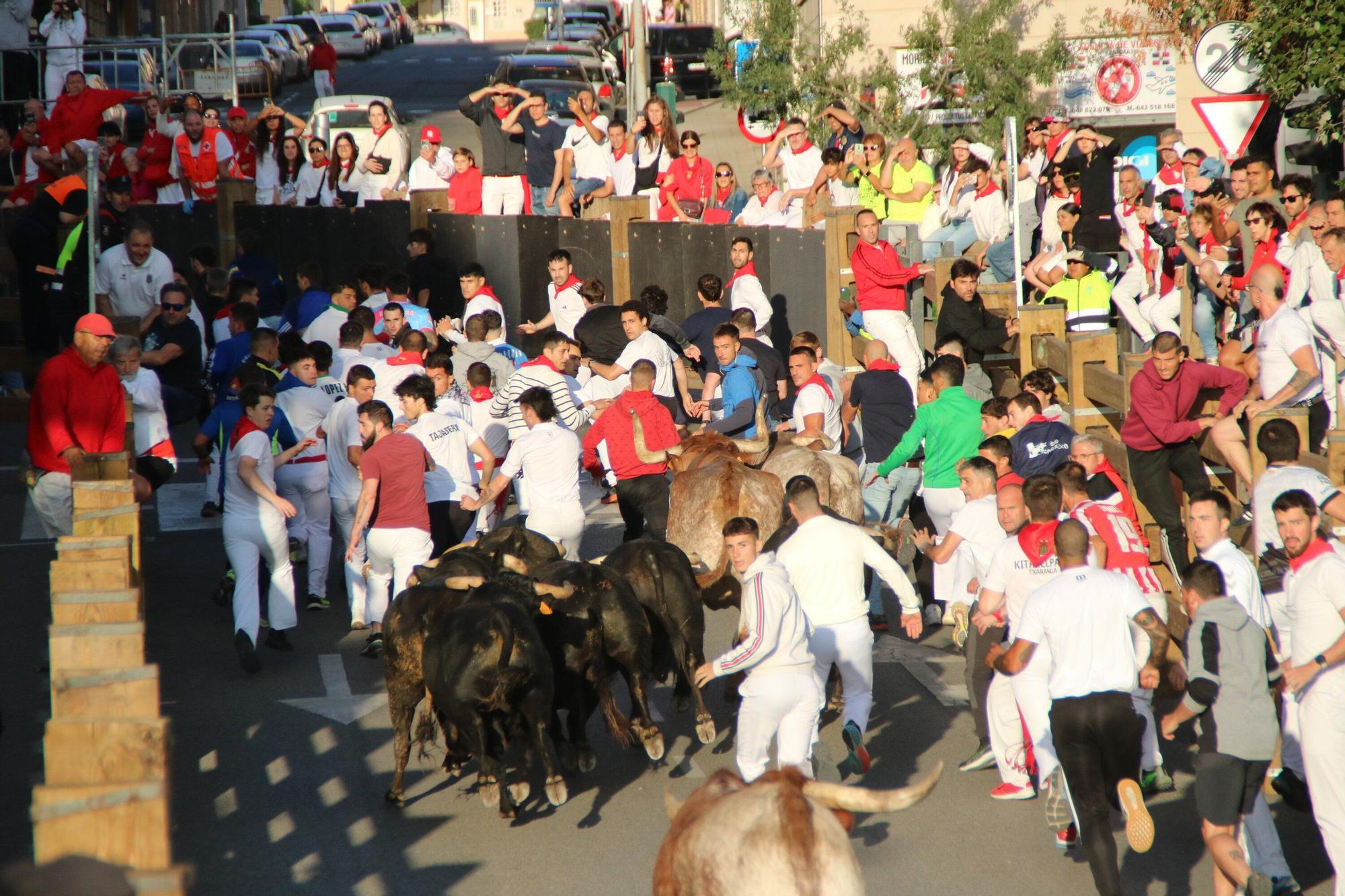 Fotos del tercer encierro de las fiestas de Tudela 2025