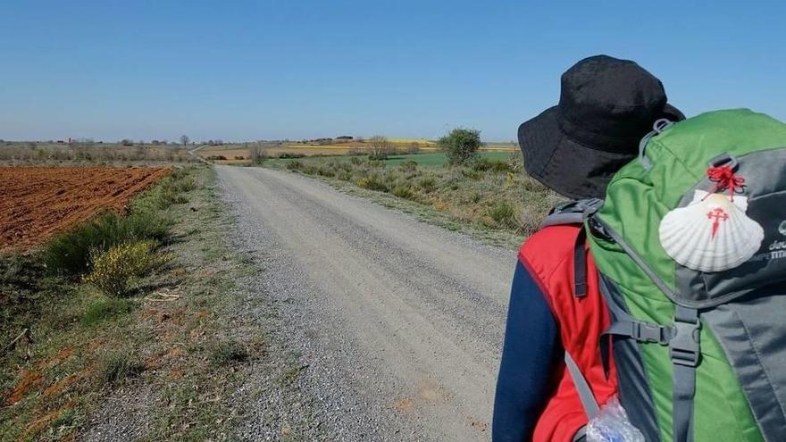 Existen al menos 9 rutas diferentes que tienen como fin la Catedral de Santiago de Compostela