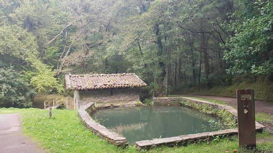 Sendero de Iturraran: un paseo fácil entre bosques y ferrerías en Pagoeta