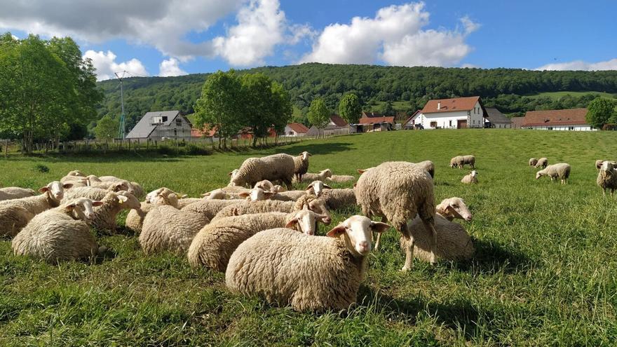 Auritz-Burguete, entre los candidatos a Best Tourism Villages 2026