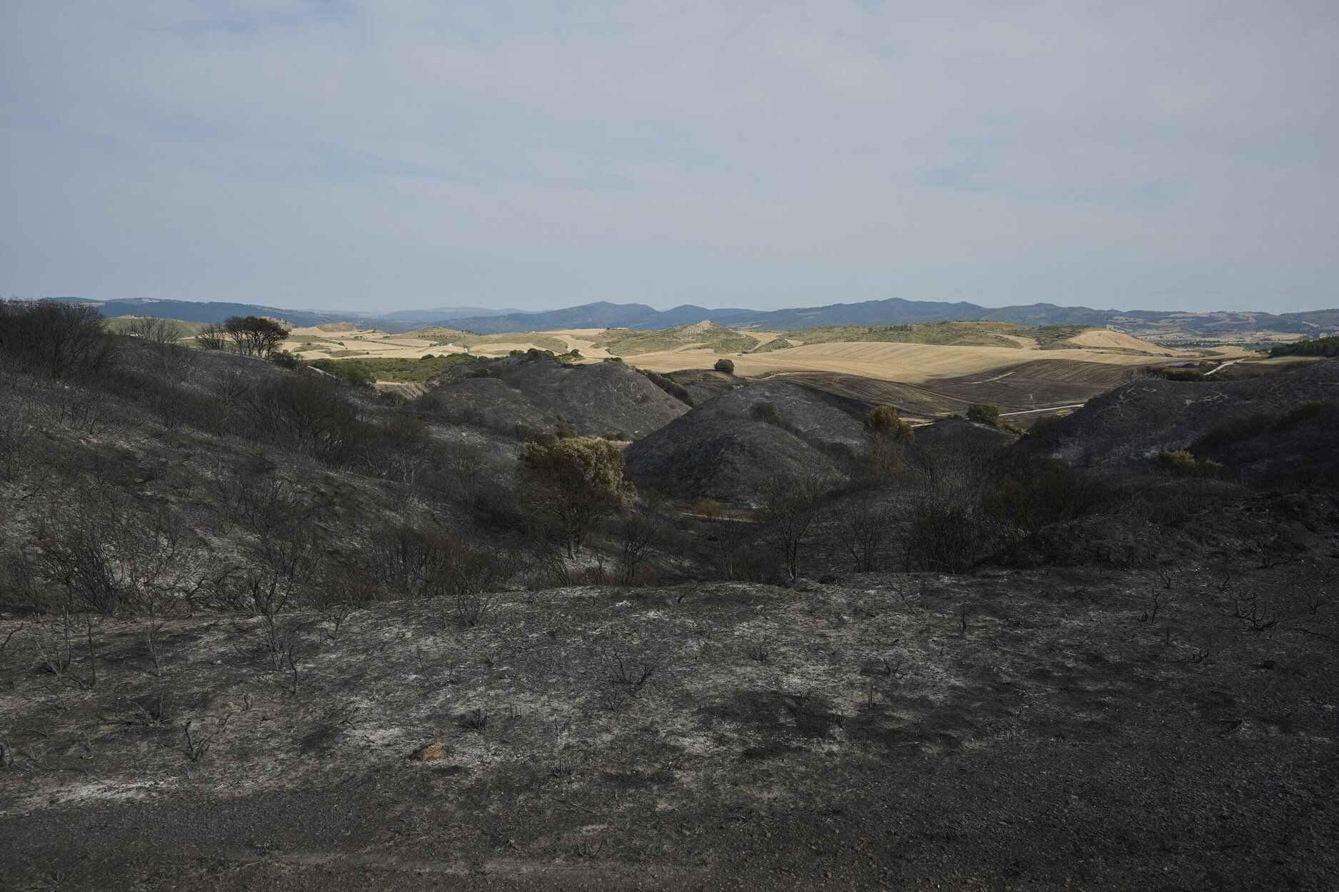 Imágenes de la zona afectada por el incendio en Enériz