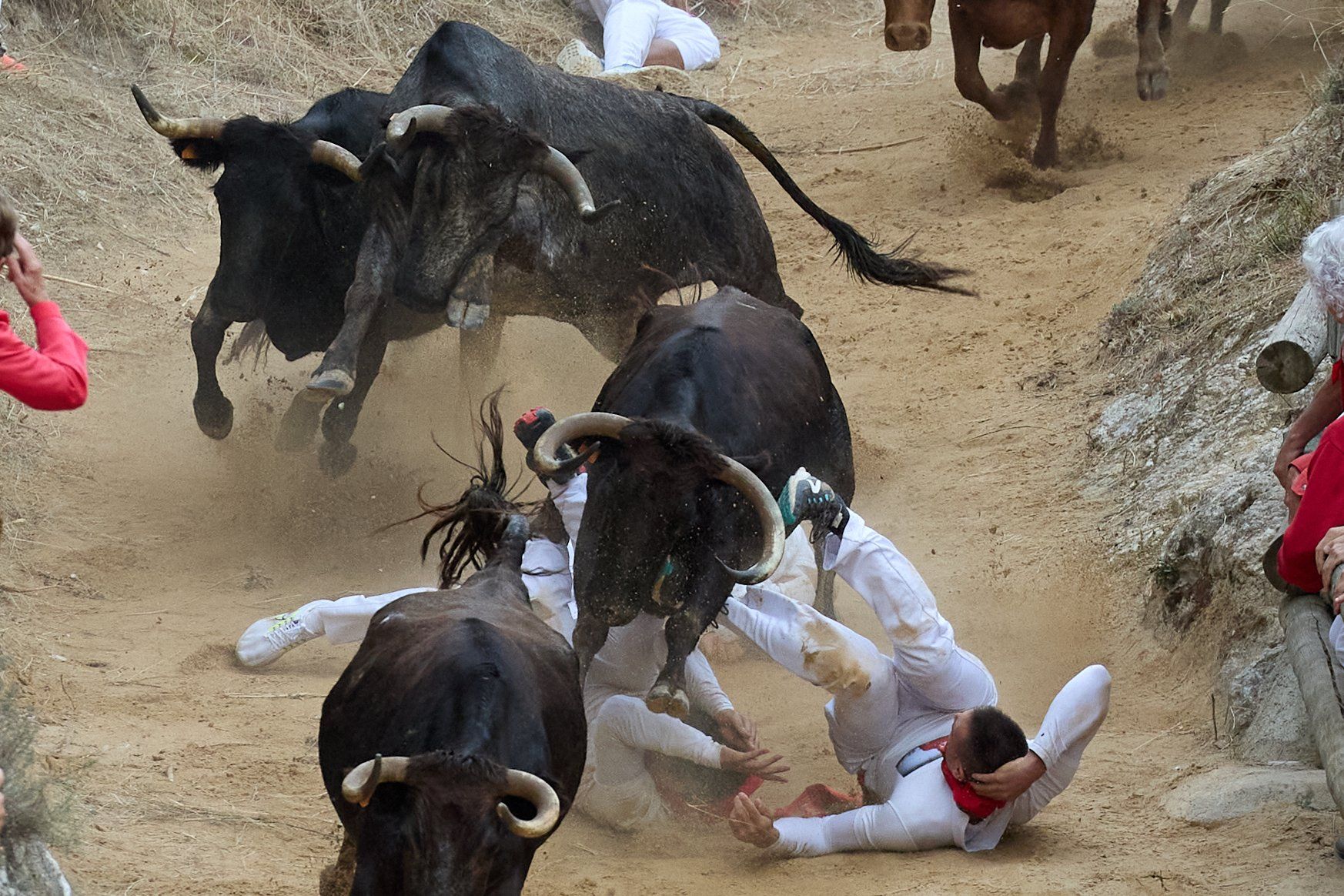 Fotos del tercer encierro del Pilón de Falces 2025