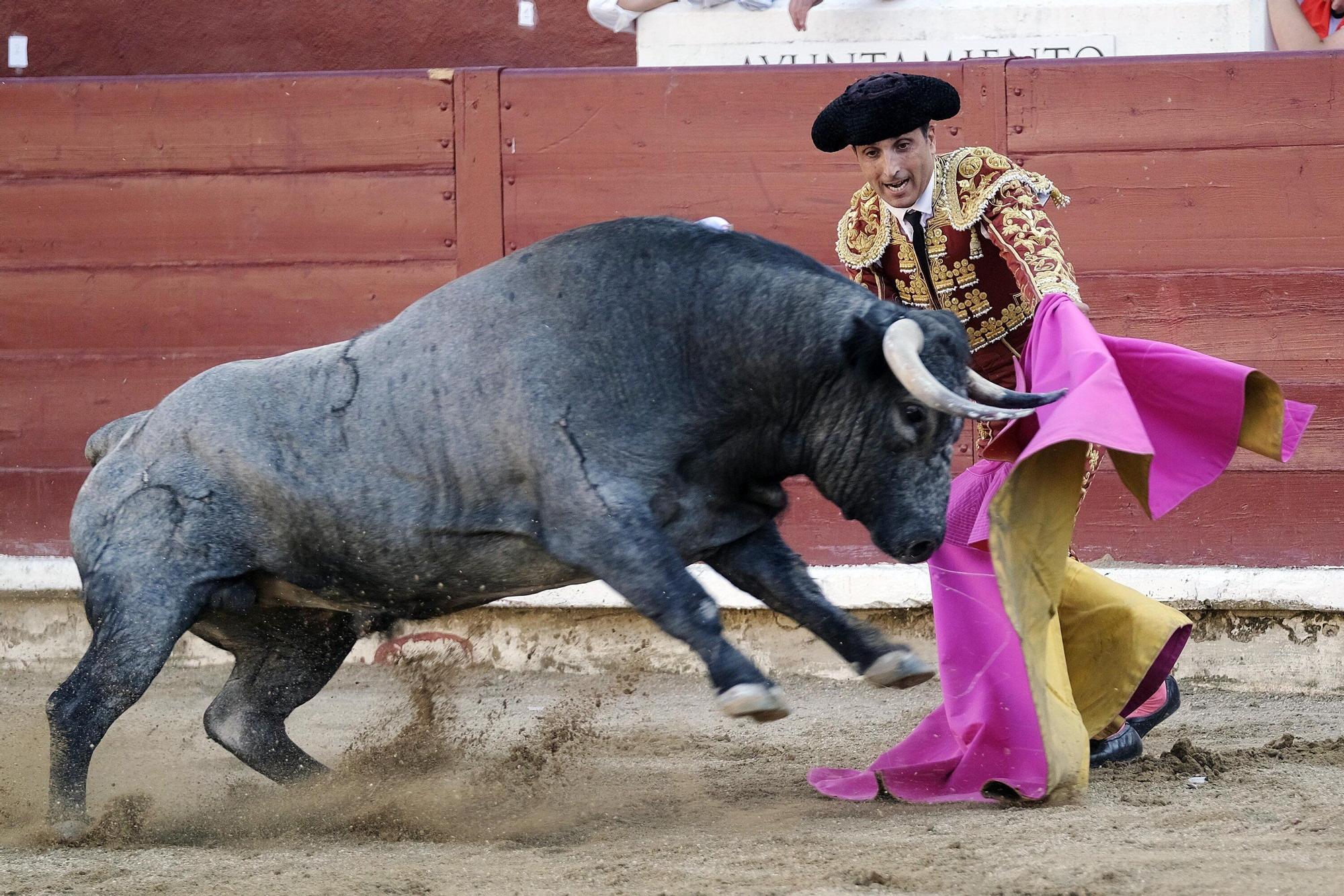 Fotos de la corrida con toros de Partido de Resina en fiestas de Estella-Lizarra