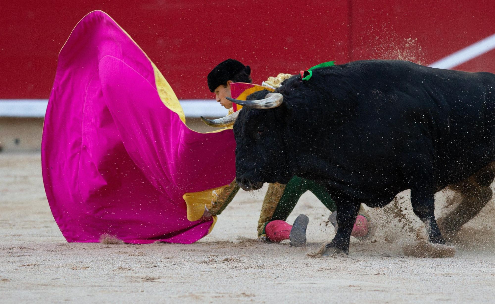 Fotos de la novillada de San Fermín 2025