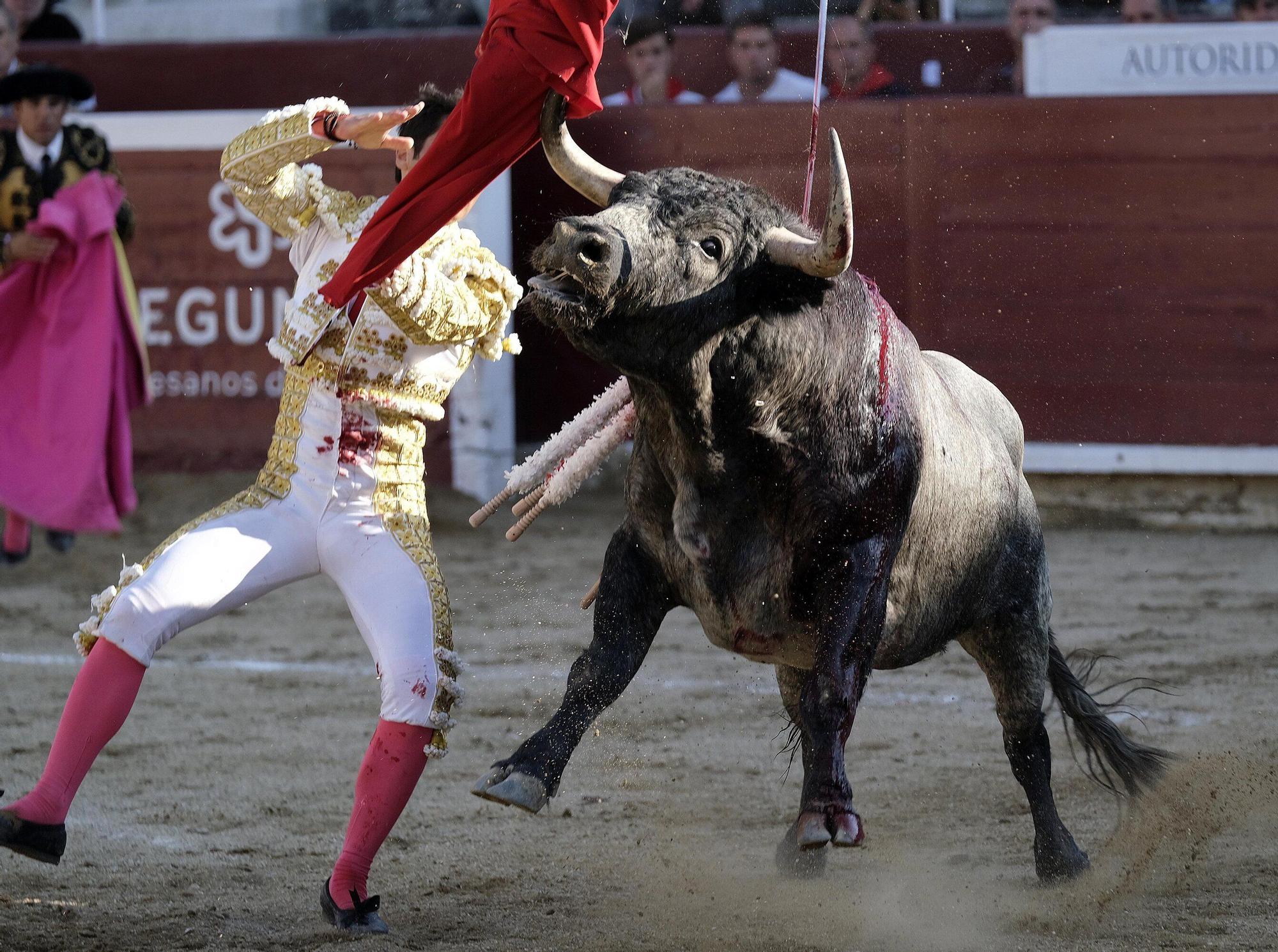 Fotos de la corrida con toros de Partido de Resina en fiestas de Estella-Lizarra