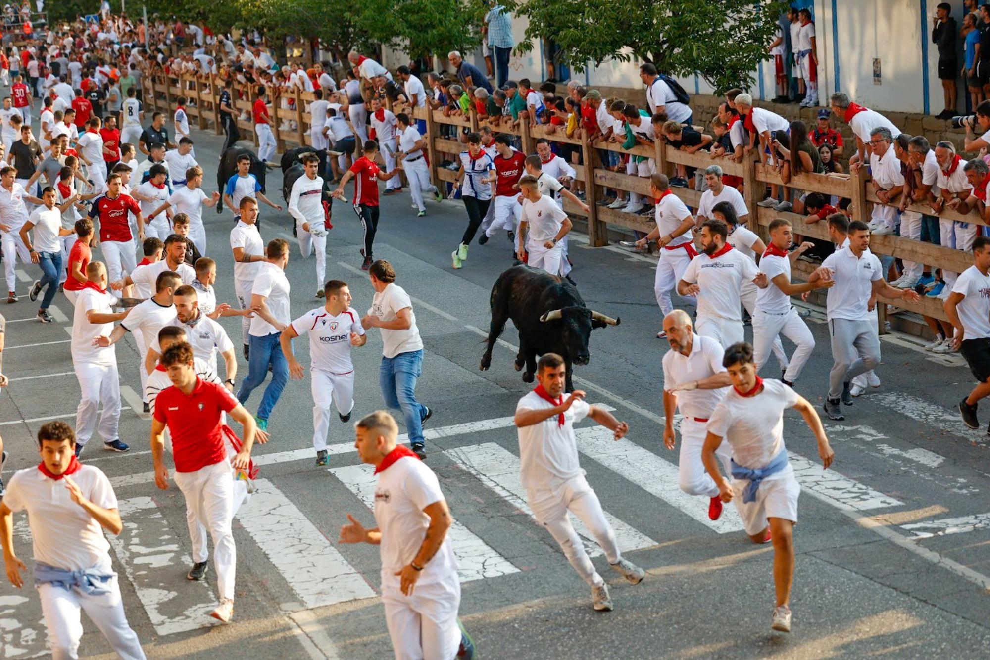 Fotos del primer encierro de fiestas de Tafalla