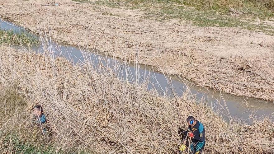 Hallan el cadáver de una menor con impactos de bala en Sevilla y detienen a su expareja