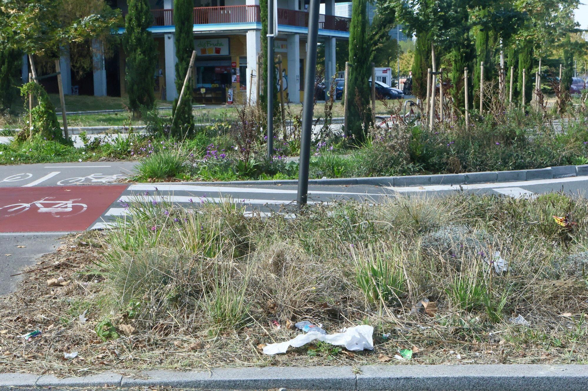 En imágenes: Vitoria-Gasteiz se prepara para adecentar el verde de la ciudad